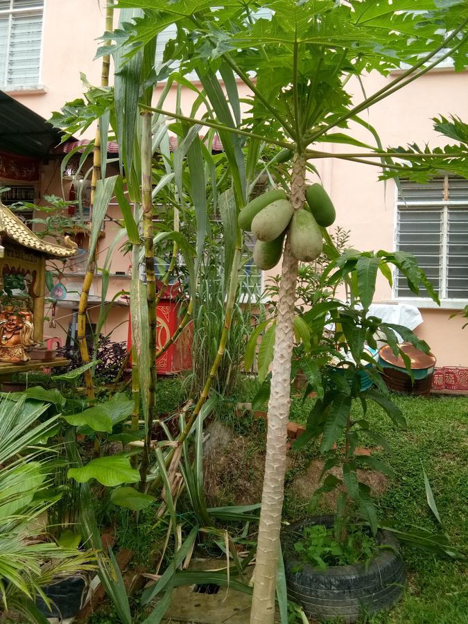 Genting Bukit Tinggi Homestay Экстерьер фото